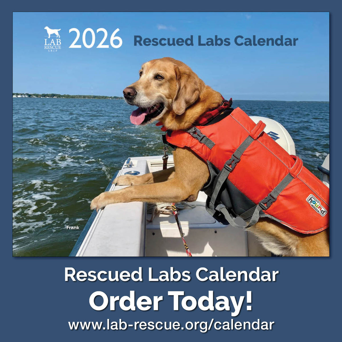 2026 Rescued Labs Collection – Lab Rescue LRCP