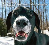 2027 Rescued Labs Calendar
