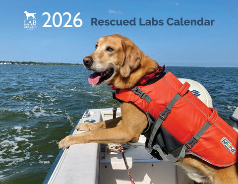 2026 Rescued Labs Calendar