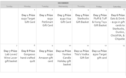 12 Days of Rescue Raffle Tickets ($5 each or 6 for $25)