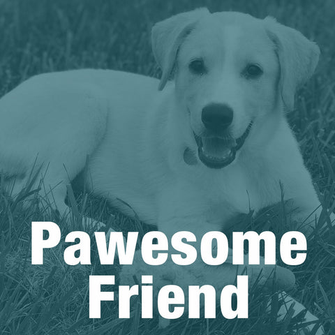 Pawesome Friend Sponsorship  //  2024 DogWalk